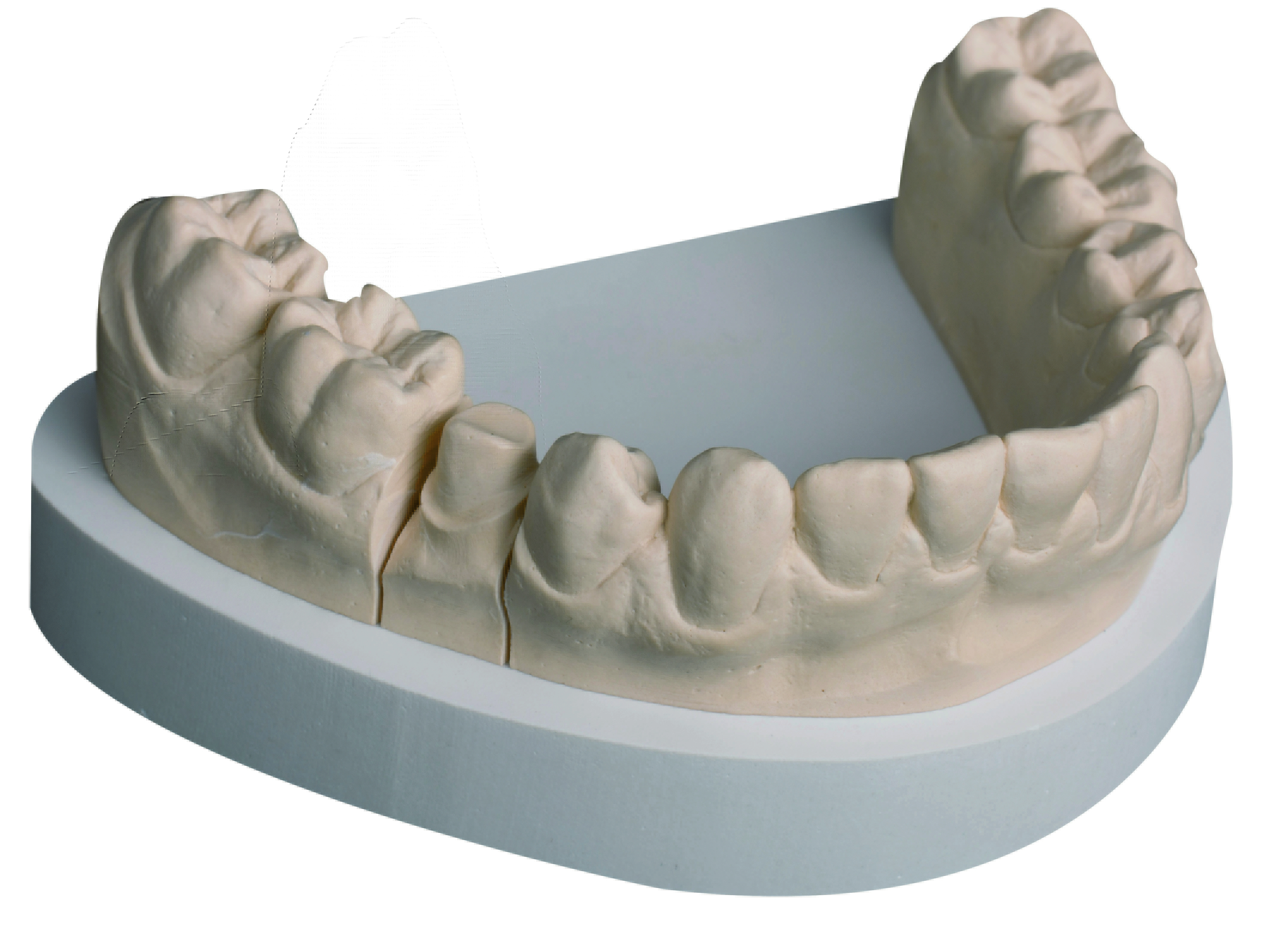 Rocky Mountain sahara 25 kg (Karton)