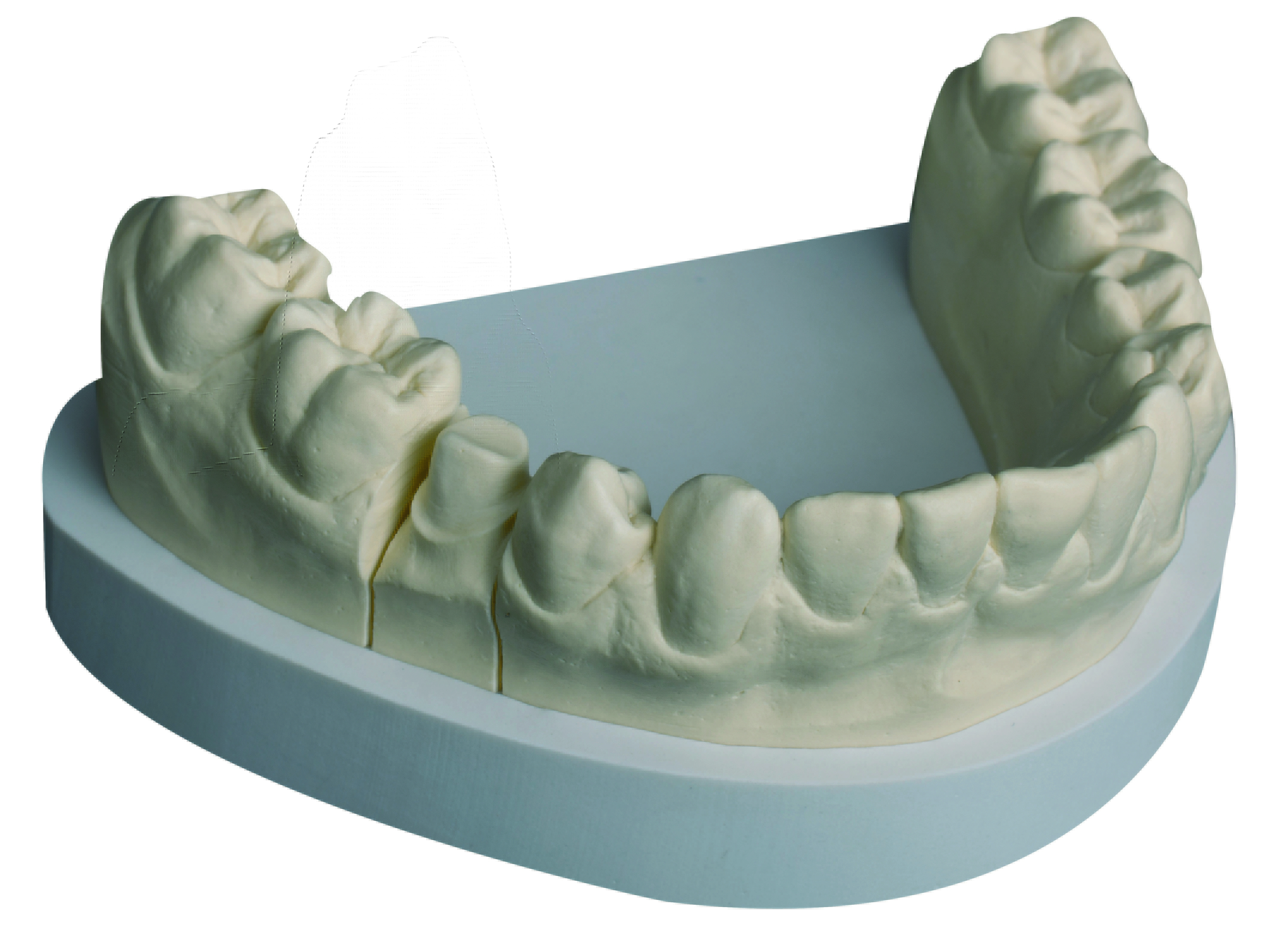 Primus elfenbein 25 kg (Karton)