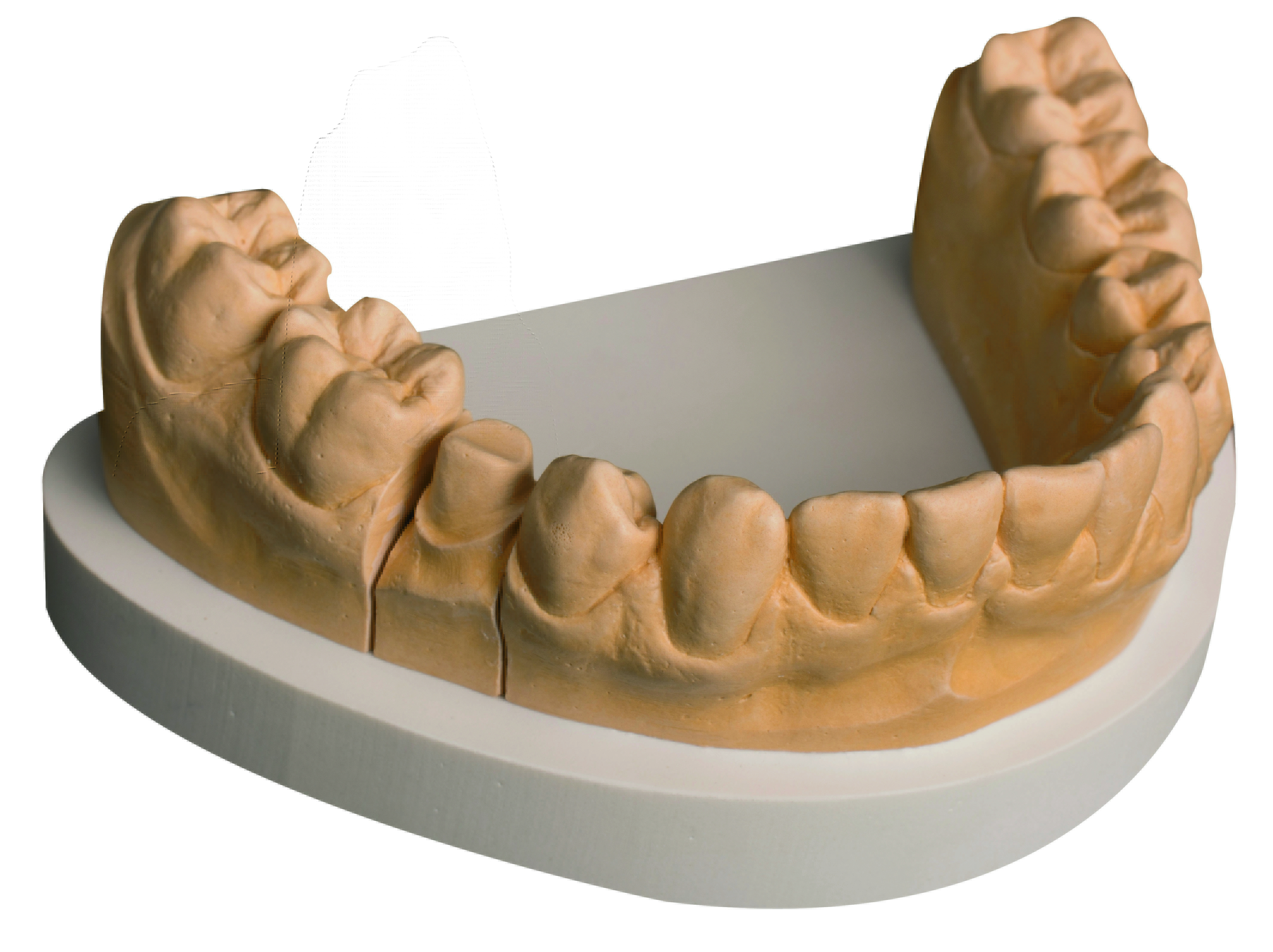 Primus goldbraun 5 kg